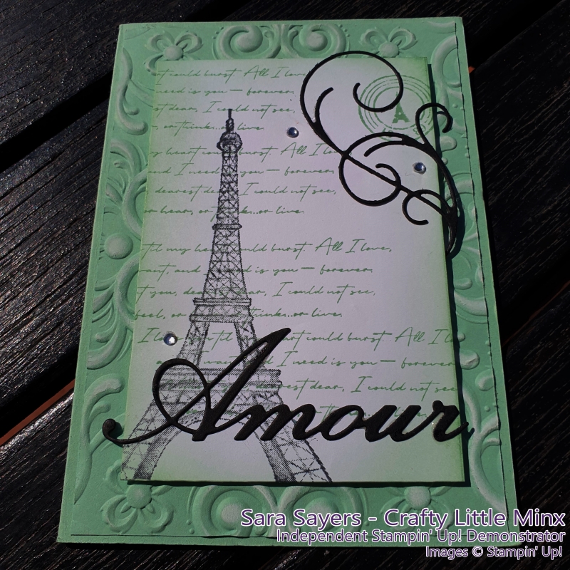 Parisian Beauty  Stamp Set used on the Casually Crafting Blog Hop Jan 2020 - Crafty Little MInx