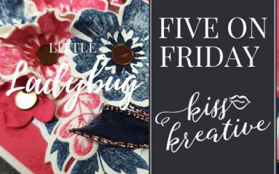 Five ways Friday – Little Ladybug