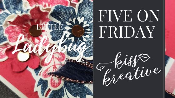 Five ways Friday – Little Ladybug