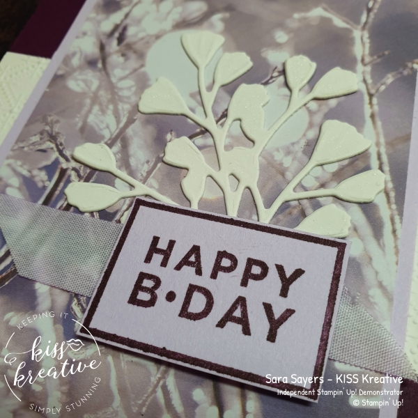 Share it Sunday easy Card using Happiest of Birthdays from Stampin Up