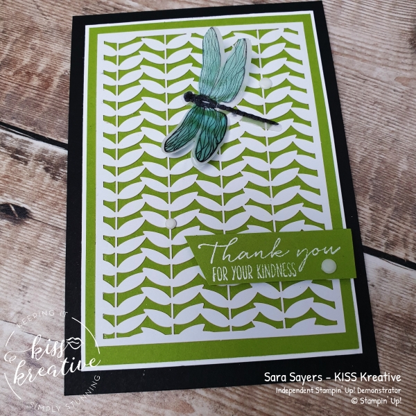 Easy simple cards using the Dandy Laser cut papers from Stampin Up