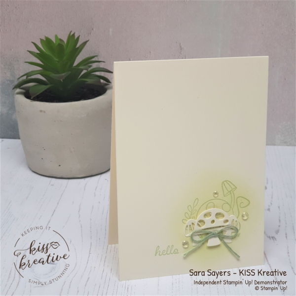 Clean & simple cards using the Snailed It Stamp Set from the Snail Mail Suite by Stampin Up