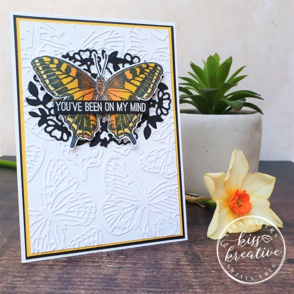 Lace Die cut background with Butterfly Brilliance bundle 