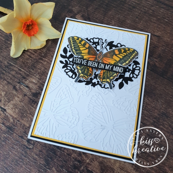 Lace Die cut background with Butterfly Brilliance bundle 