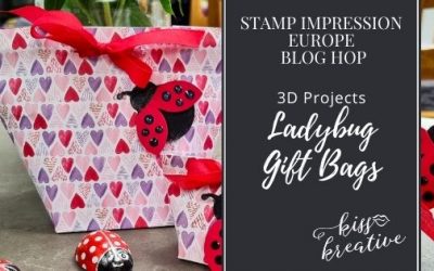 Make These Simple Ladybug Gift Bags – Stamp Impressions Blog Hop