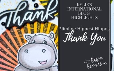 How To Make A Slimline Rays of Light Hippest Hippo Thank You Card