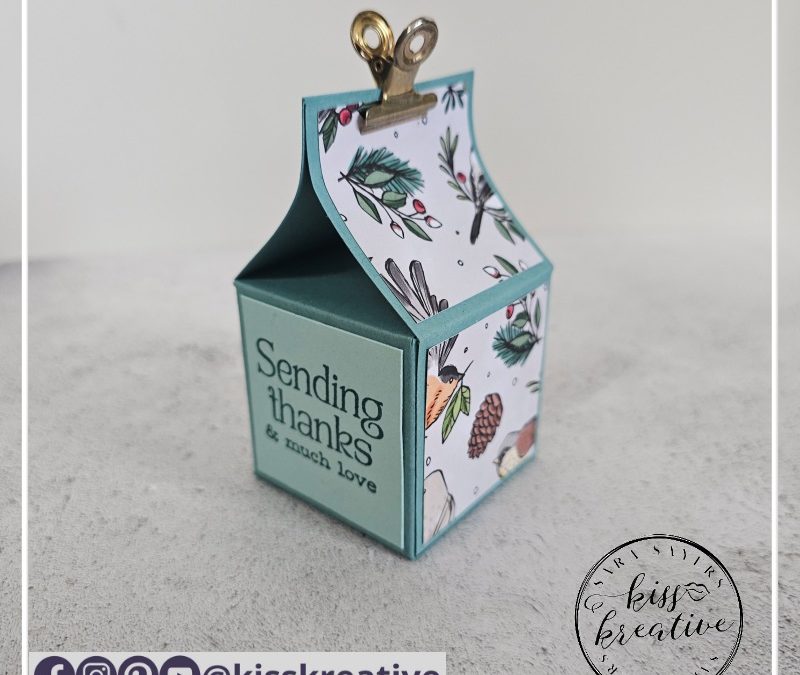 How To Create A Winterly Tree Tops Faux Bird House Gift Box – Stampin Dreams Blog Hop