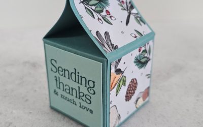 How To Create A Winterly Tree Tops Faux Bird House Gift Box – Stampin Dreams Blog Hop